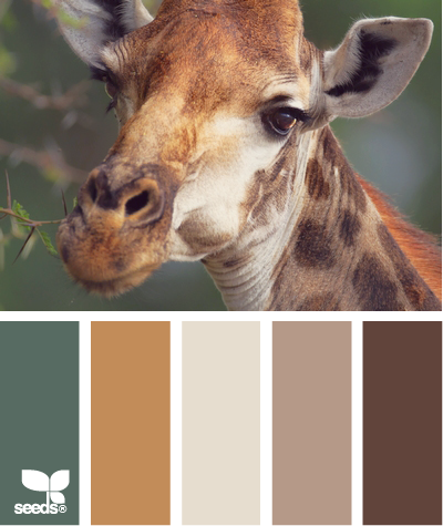 giraffe tones