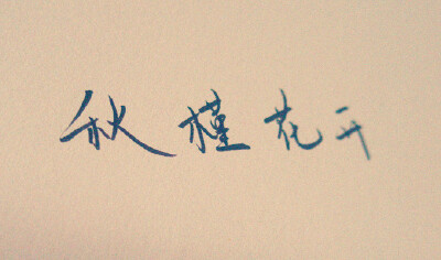 秋槿花开
