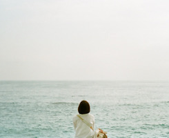 海