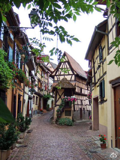 owl【不经意之间】美丽的法国小镇——Eguisheim ；你在这里，会觉得自己站在画里。