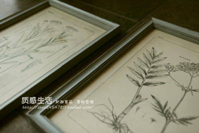 铅笔画风植物装饰画