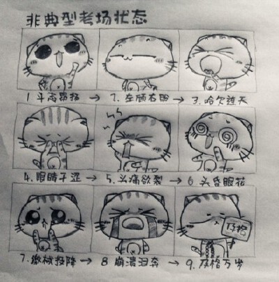 表情猫