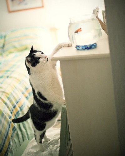 Suddenly… I’m Thirsty!