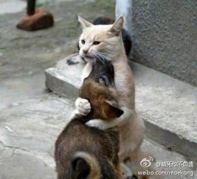 别怕……