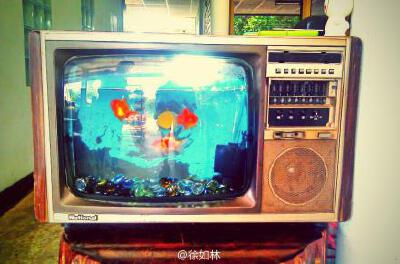 用旧电视做了个鱼缸