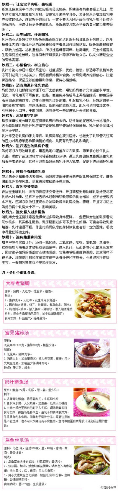 催乳妙招
