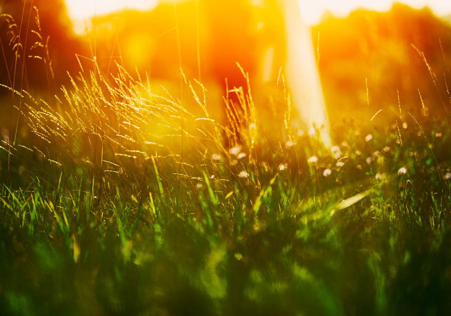 Photograph Untitled by Yurii Yatel on 500px