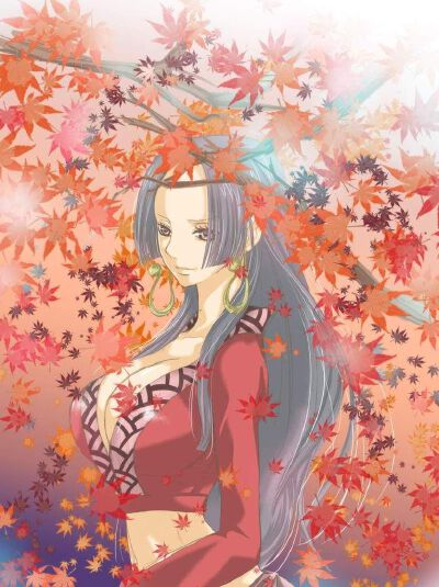 海贼王