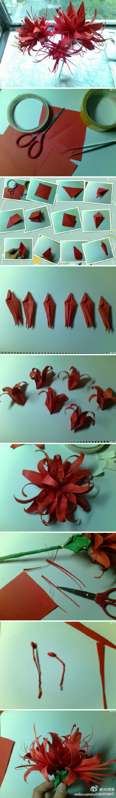 【彼岸花折纸】佛家语，荼蘼是花季最后盛开的花，开到荼蘼花事了，只剩下开在遗忘前生的彼岸的花。
