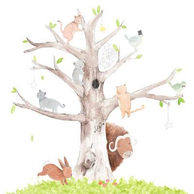 插畫家Amy Borrell