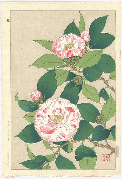 Camellia - by Shodo Kawarazaki 1889-1973