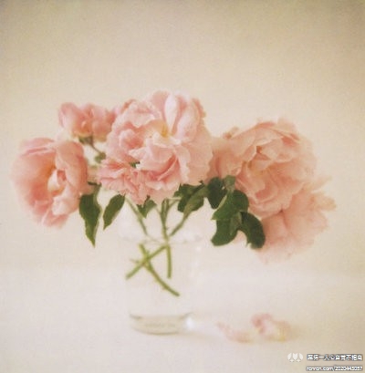 <不乱于心，不困于情。不畏将来，不念过往。如此，安好。 >