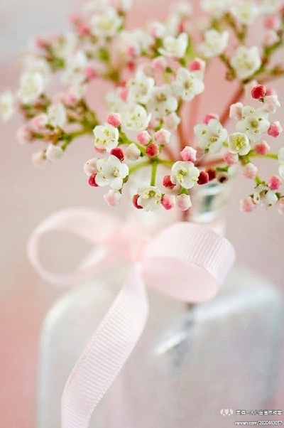 <I have been standing in the old days never leave. 我一直站在旧时光里不曾离去。>