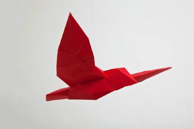 wordscanfly03