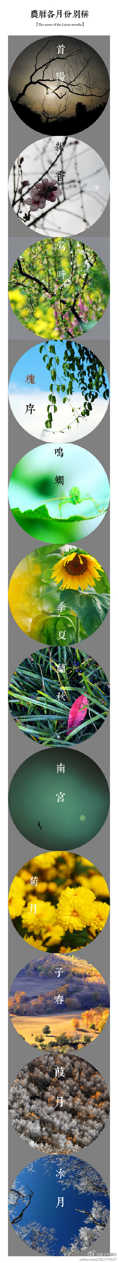 一月首阳，二月绀香，三月莺时，四月槐序，五月鸣蜩，六月季夏，七月兰秋，八月南宫，九月菊月，十月子春，十一月葭月，十二月冰月。