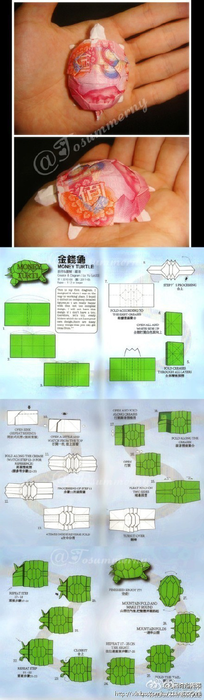 这才是真正的金钱龟！