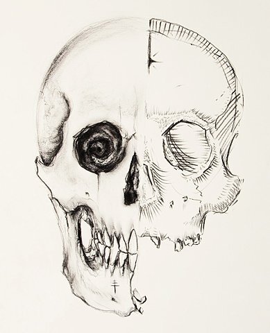 bone bone bone -Halbmond-
