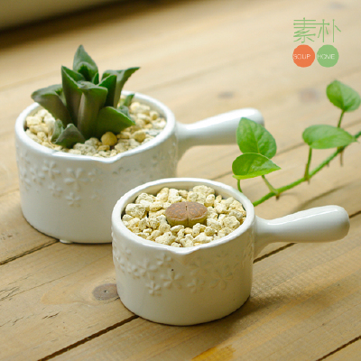 很不错的小花盆 < Tina >