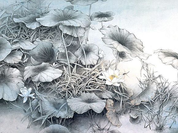 莲