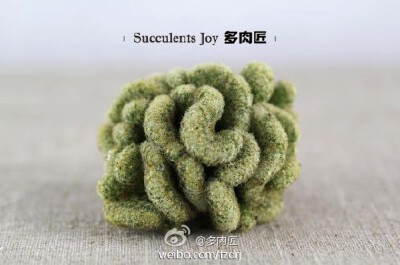 缀化金手指