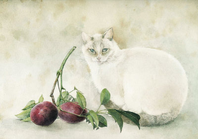 CafeMeow 【猫插画】 山田 緑 (Midori Yamada)