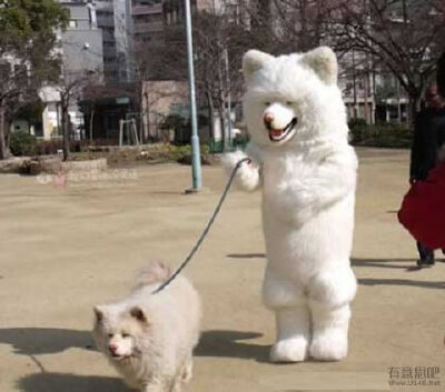 这二货主人，我先走了……