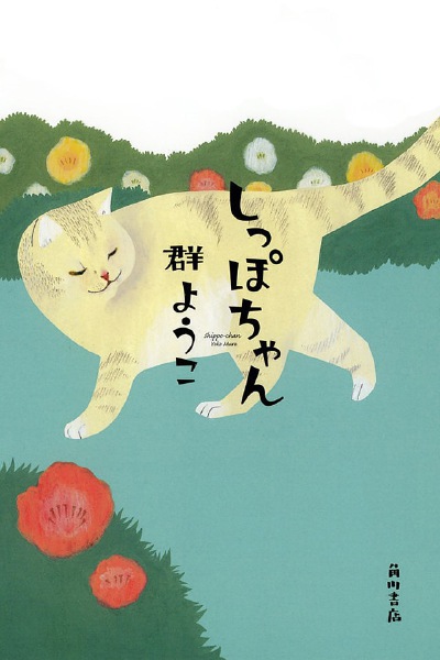 iphone4s壁纸 640*960 猫