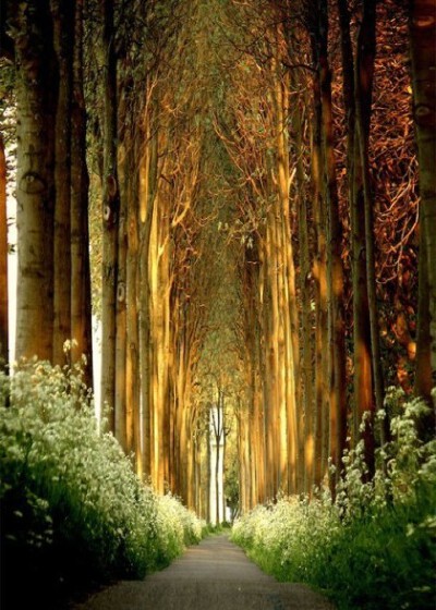 go somewhere, alone