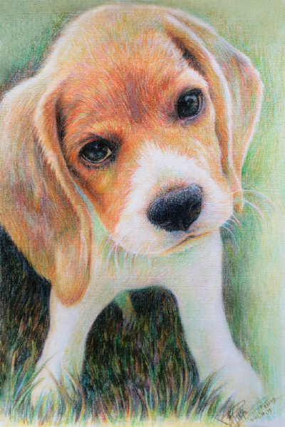 查看《彩铅插画：关于狗狗的遐想》原图，原图尺寸：663x992