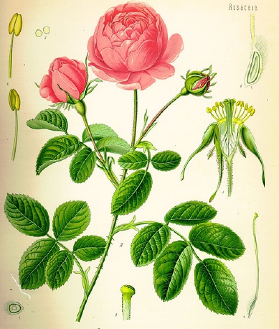 p618703798