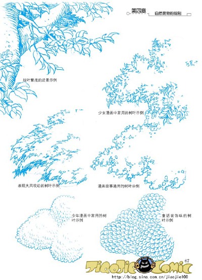 树木的局部画法图片