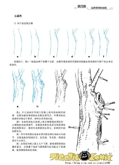 树木的局部画法---图片