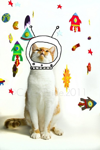mi。喵星人。