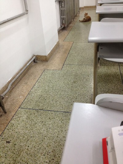 查看下一张