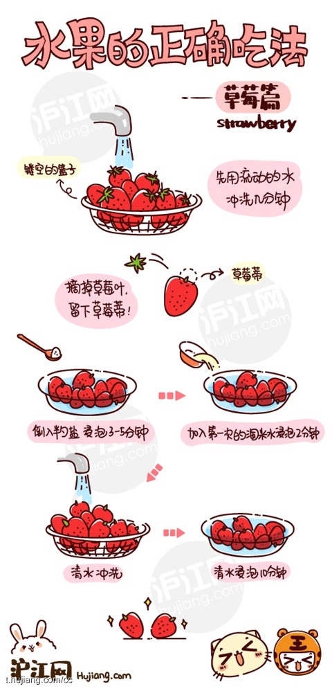 【水果的正确吃法vol.1-草莓】此物学名:Fragaria × ananassa.英文:Strawberry.日语读イチゴ.含有浓郁果香的草莓.因特别适宜春天养生食用.有[春天第一果"的美誉.它含丰富维生素C.不仅帮助消化.还可以巩固齿龈.清新口气.怎样洗草莓科学最干净?详情见图
