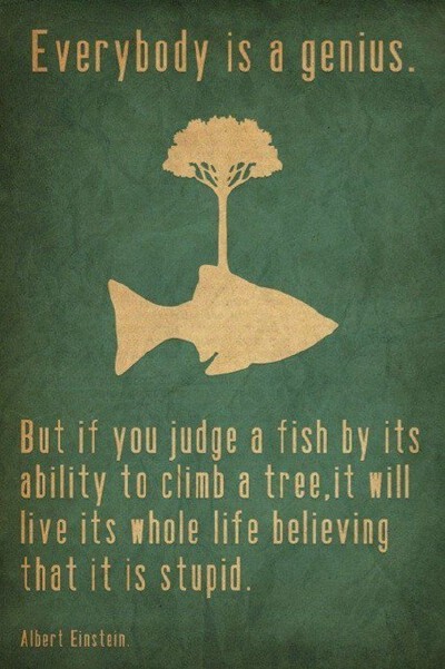 Everybody is a genius, don't judge a fish by its ability to climb a tree.