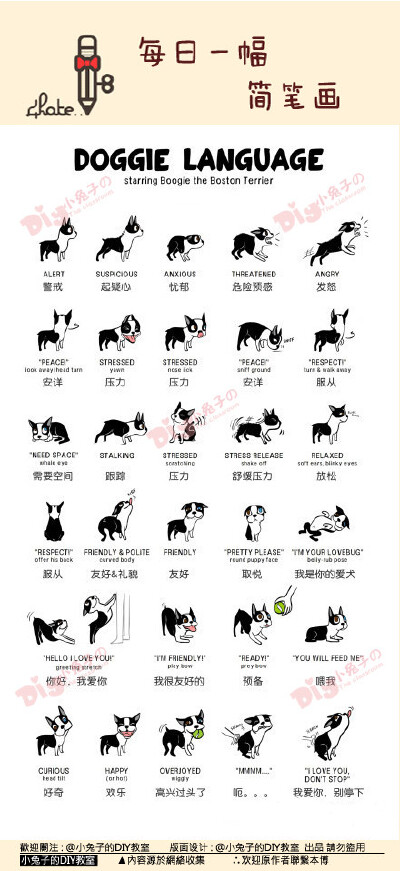 【狗狗的肢体语言解析】