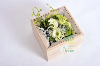 2月14日 Green lights,I am searching for you...如此的唯一，触电般不可思议像一个奇迹，幸福在哪里，触电般不可思议像一个奇迹划过我的生命〜桔梗诉说者永恒的爱，绿色给人希望，洋兰诠释着我们对生活、对爱情的美…
