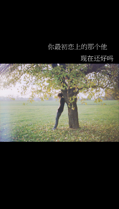 文字 壁纸