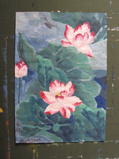 荷花，春天的期待，青岛