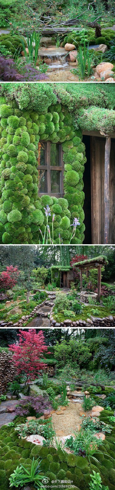 苔藓花园