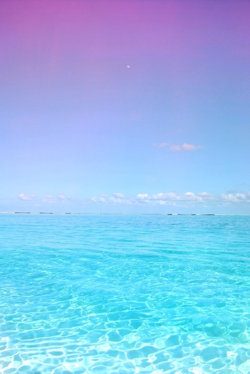 海洋..