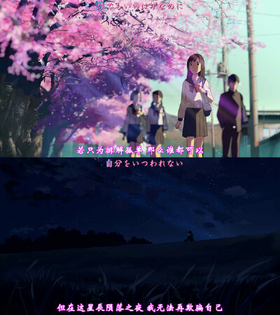 【惊鸿踏雪】若只为排解寂寞，那么谁都可以。但在这星辰陨落之夜，我无法再欺骗自己。——《秒速五厘米》
