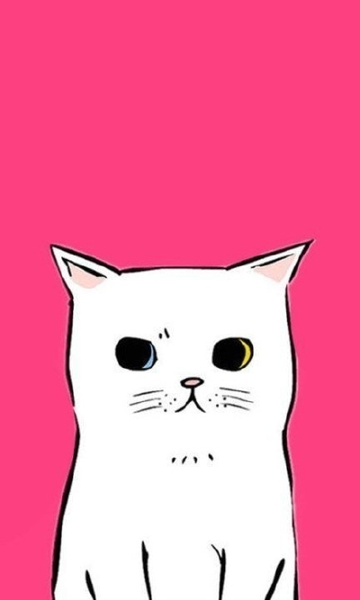 看什么看，没见过怪眼小美猫啊～