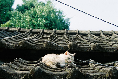 坐在屋顶上发呆 。(ˇωˇ唯媛}