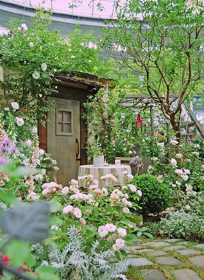 garden