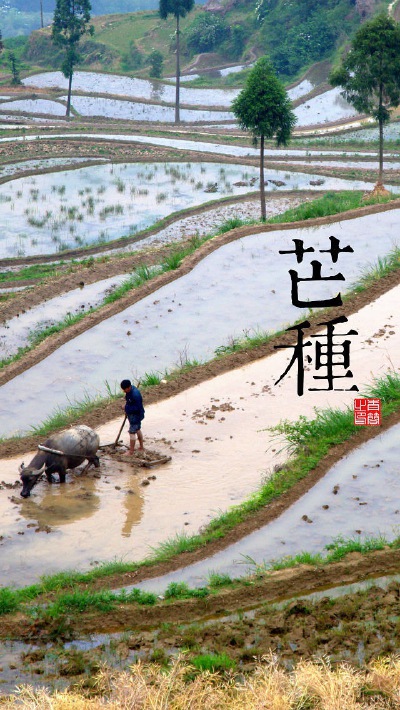 iPhone5风景壁纸