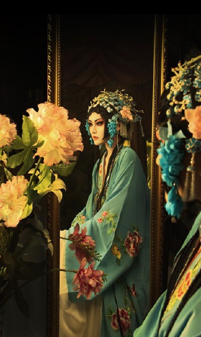 世有解语花,,