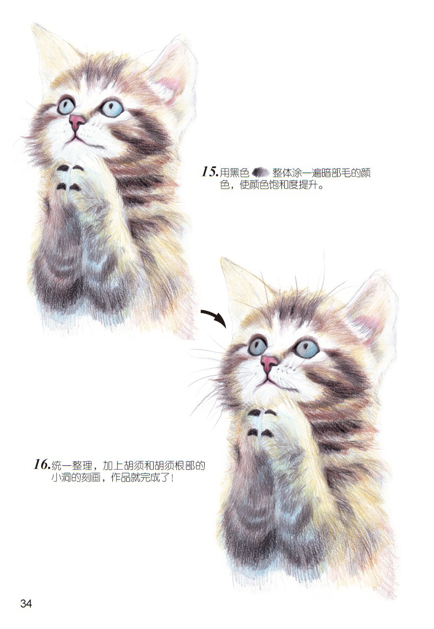 《爱绘生活：猫咪的萌宠手绘集合》——虔诚6