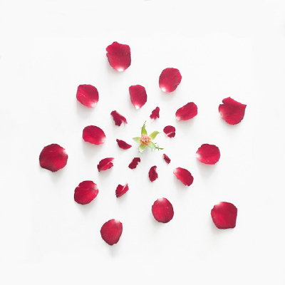 这组名为《Exploded Flowers》的照片来自新加坡摄影师Fong Qi Wei，摄影师将拆解开来的花朵进行了重组，镜头下呈现出它们整齐有序的对称感，以及每个组成部分的微妙之处。整体效果如突然怒放，如烟花在夜空炸开。放…